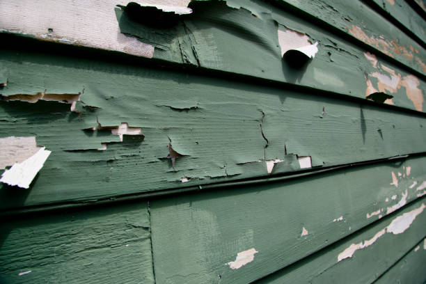 Best Property Management Cleanouts  in Rockmart, GA